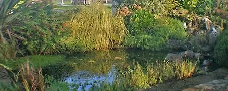 Corrib Haven 3*